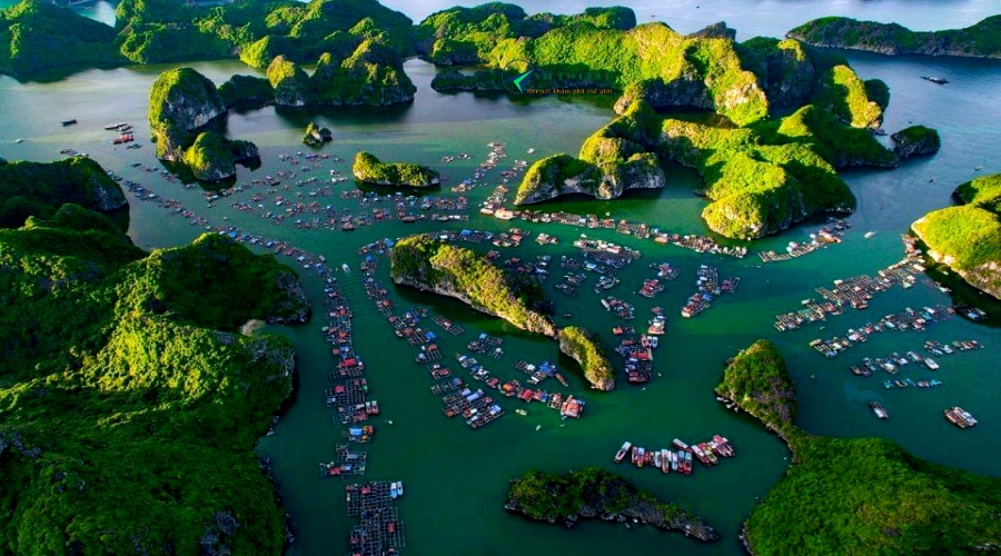 Vietnam Northern Classic Tour 6D5N visit Halong bay