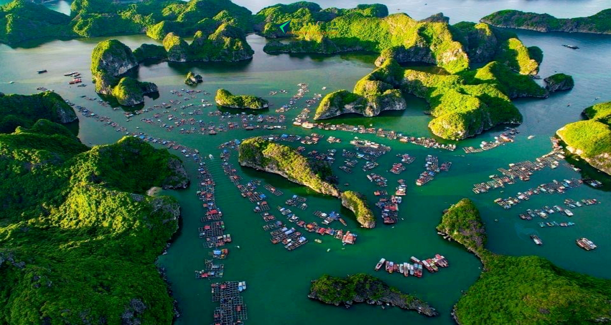 South to the north of Vietnam Tour 12D11N visit Halong bay