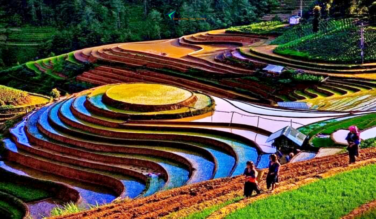 Vietnam Northern Classic Tour 6D5N visit Sapa rice terrace