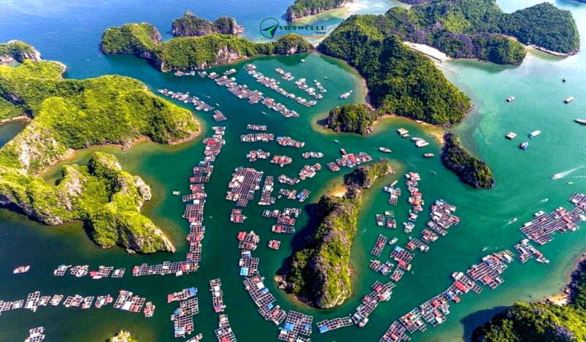 Vietnam Tours from Philippines visit Halong bay