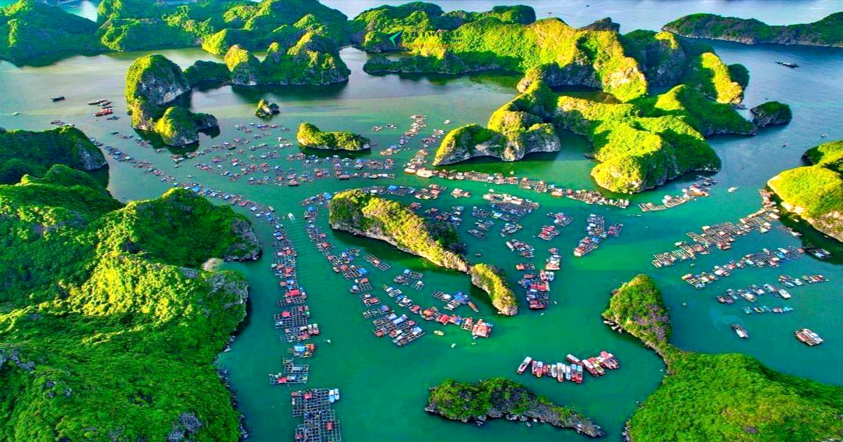 Vietnam Tours from Us visit Halong bay