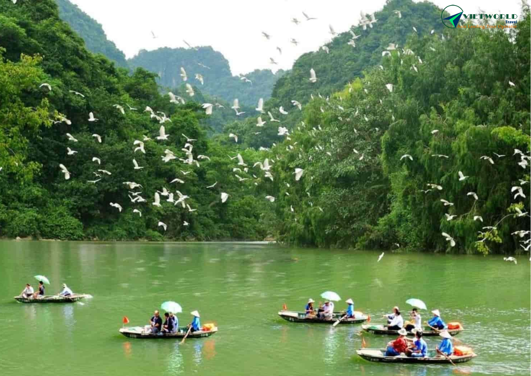 Birdwatching at Thung Nham bird park